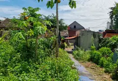 Kho, nhà xưởng diện tích lớn tại vị trí kết nối các xã Mỹ Đồng - Kênh Giang... Bán kho, nhà xưởng tại Lê Ích Mộc, Hải Phòng 01