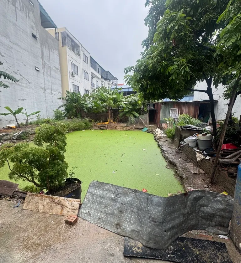 Cơ Hội Vàng Sở Hữu Đất Vị Trí Đẹp Tại Đại Thanh, Hà Nội... Bán đất tại Đại Thanh, Hà Nội 01