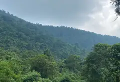 Đất Xã Bố Hạ, Bắc Ninh... Bán đất tại Bố Hạ, Bắc Ninh 03