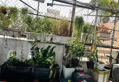 Nhà 4 tầng 3PN gần Quận Phú Nhuận, Quận 3, giá 6.1 tỷ... Bán nhà riêng tại Nhiêu Lộc, Hồ Chí Minh 07