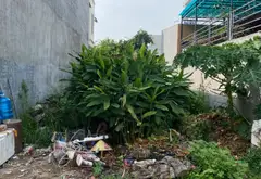 Bán nhà mặt phố tại phường, diện tích 75m2, mặt tiền 5m, phù hợp kinh doanh... Bán nhà mặt phố tại Đông Hải, Hải Phòng 01