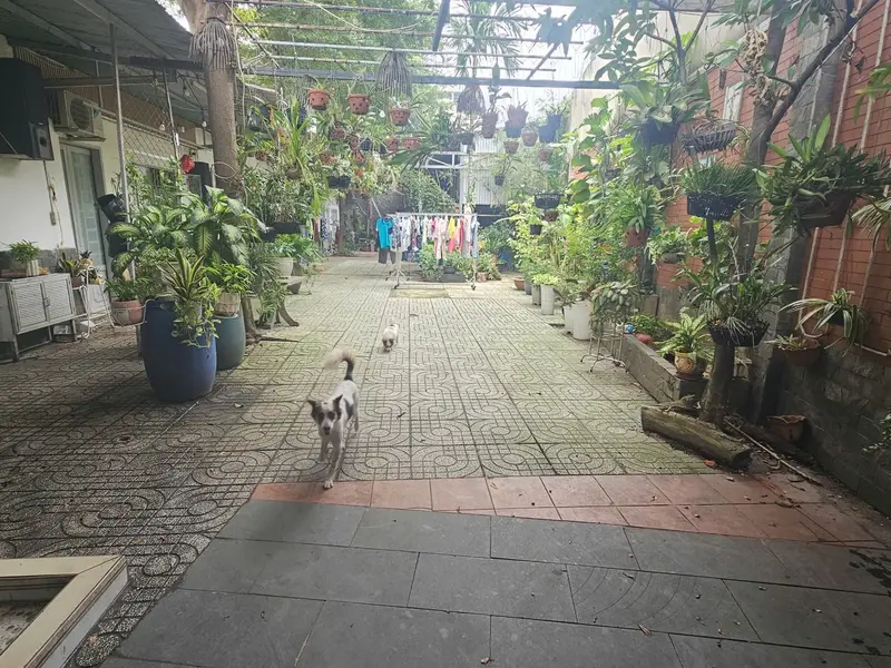Bán nhà mặt phố Phường An Hội Đông, Hồ Chí Minh diện tích lớn tiện kinh doanh... Bán nhà mặt phố tại An Hội Đông, Hồ Chí Minh 01