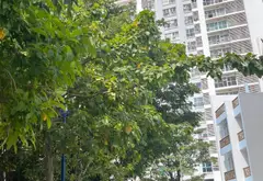 Bán căn hộ 2 phòng ngủ diện tích 77.3m2 tại khu chung cư Sài Gòn mới, hỗ trợ vay ngân hàng... Bán căn hộ chung cư tại Nhà Bè, Hồ Chí Minh 01