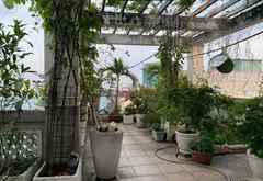 🏡 NHÀ ĐẸP NGAY NGÃ TƯ NGUYỄN OANH – NGUYỄN VĂN LƯỢNG 🌿
🔥 Ngang 6,5m – dài 23m | 5 tầng | 5PN | ~... Bán nhà riêng tại Gò Vấp, Hồ Chí Minh 13