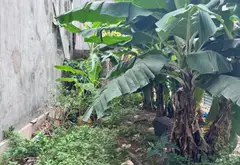 Nhà nhỏ xinh ngay trung tâm xã Đan Phượng... Bán nhà riêng tại Đan Phượng, Hà Nội 01