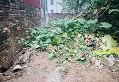 Bán đất thổ cư 65,5m² tại xã Đông Anh, Hà Nội, mặt tiền rộng thoáng mát... Bán đất tại Đông Anh, Hà Nội 02