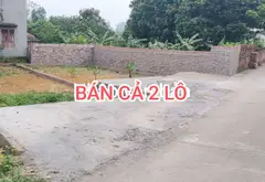 Cơ hội sở hữu 2 lô đất vàng tại Đan Tảo Tân Minh giá hấp dẫn... Bán đất tại Sóc Sơn, Hà Nội 04