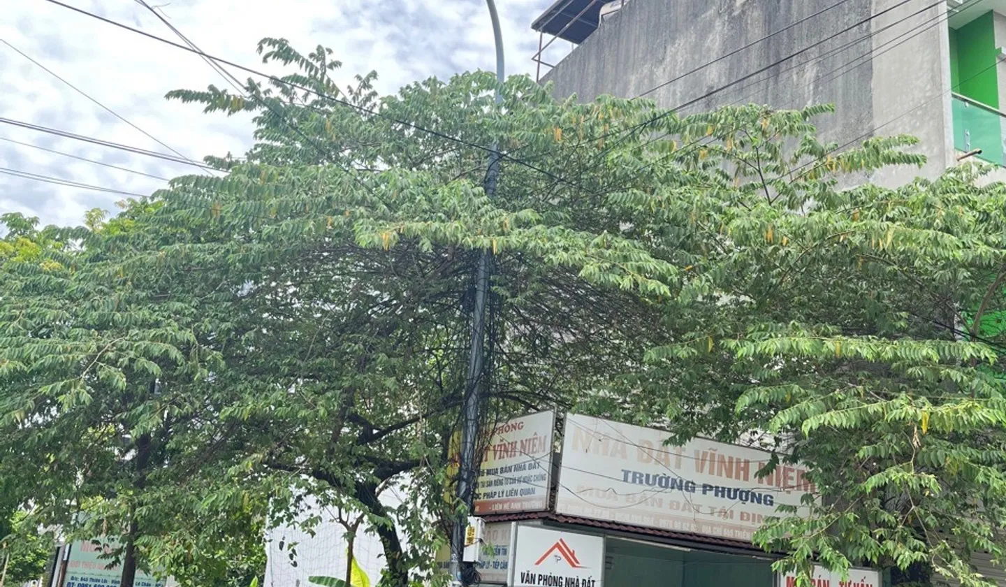 Cơ hội vàng sở hữu đất lô góc rộng thoáng tại phường Vĩnh Niệm quận Lê Chân... Bán đất tại An Biên, Hải Phòng 01