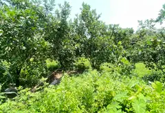 Đất Nền View Hồ - Cơ Hội Vàng Tại Sóc Sơn!... Bán đất tại Sóc Sơn, Hà Nội 09