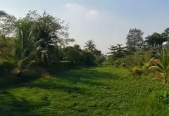 Siêu phẩm đất biệt thự nghỉ dưỡng Củ Chi rộng 3.456m² view sông... Bán đất tại Bình Mỹ, Hồ Chí Minh 11