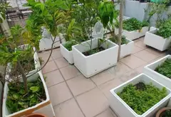 🏡 Nhà 4 Tầng Đẹp Mê Ly - Phú Thọ Hòa, Tân Phú 🔥... Bán nhà riêng tại Phú Thọ Hòa, Hồ Chí Minh 12