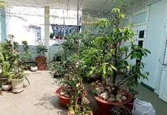 Bán nhà mặt phố phường Tân Quý, quận Tân Phú 4 tầng, 208m2... Bán nhà mặt phố tại Phú Thọ Hòa, Hồ Chí Minh 05