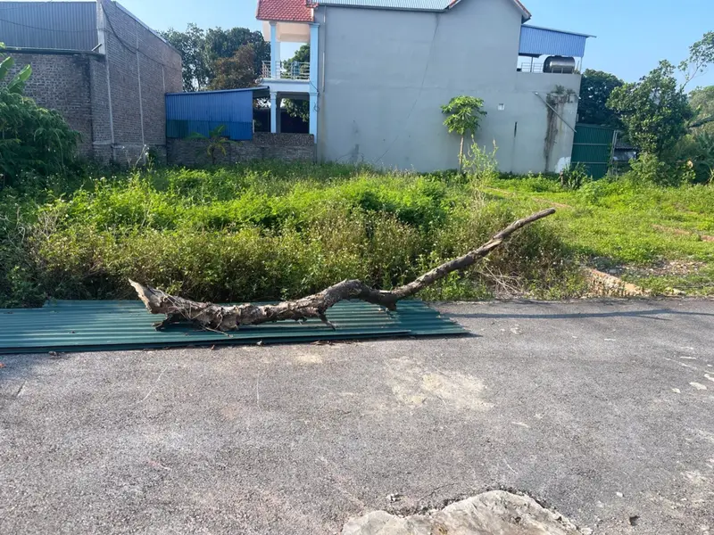 Bán đất 114,3m2 gần trung tâm xã Thanh Sơn - Sóc Sơn... Bán đất tại Kim Anh, Hà Nội 01