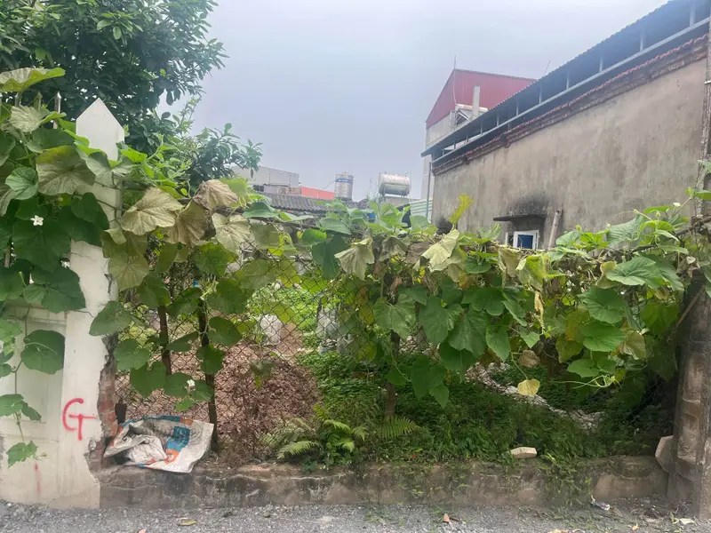 Đất nằm ở mặt ngõ , gần khu dự án 3,15 tỷ... Bán đất tại Yên Mỹ, Hưng Yên 01