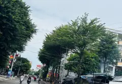 Bán căn hộ chung cư 73m2 2PN tại An Lạc, Bình Tân, tiềm năng cho thuê ổn định... Bán căn hộ chung cư tại An Lạc, Hồ Chí Minh 08