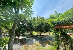 Siêu phẩm gần 3600m2 mặt tiền rộng, lợi nhuận trên 100tr/tháng... Bán nhà riêng tại Tân Nhựt, Hồ Chí Minh 06