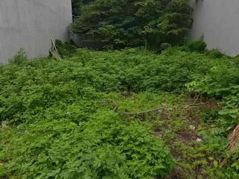 Lô Đất Vuông Vức Trung Tâm Đằng Lâm, Hải An - Cơ Hội Vàng Cho Nhà Đầu Tư... Bán đất tại Hải An, Hải Phòng 01