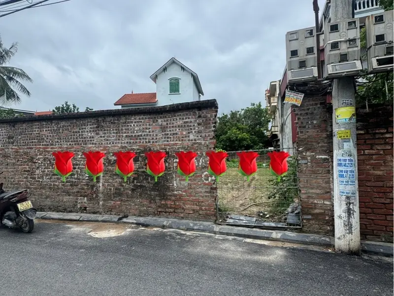 Cơ hội hiếm có sở hữu đất mặt tiền trục chính Trung Hậu Đông, Mê Linh... Bán đất tại Mê Linh, Hà Nội 01