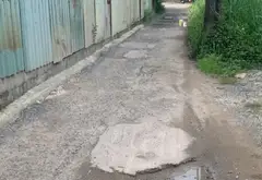 Bán đất vườn 1000m2 phường Long Trường, gần mặt tiền đường Tam Đa... Bán đất tại Long Trường, Hồ Chí Minh 03