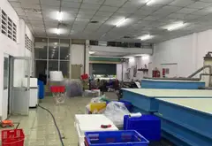 Bán kho xưởng 324m² mặt tiền 13m tại phường Thới An, Quận 12, giá 15 tỷ đồng... Bán kho, nhà xưởng tại Thới An, Hồ Chí Minh 06