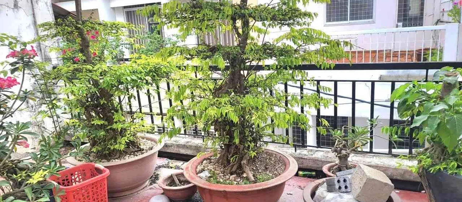 💥 BĐS BÌNH THẠNH THÔNG SỐ VÀNG: 5x13m – HẺM XE HƠI NGUYỄN VĂN ĐẬU – GIẢM GẤP 200 TR 💥... Bán nhà riêng tại Bình Lợi Trung, Hồ Chí Minh 01