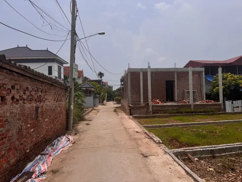 Bán đất mặt tiền xã Triệu Việt Vương, Hưng Yên, diện tích 99m2,... Bán đất tại Triệu Việt Vương, Hưng Yên 01