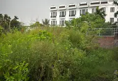 Lô đất vị trí trung tâm An Dương thuận tiện kinh doanh và sinh hoạt... Bán đất tại An Dương, Hải Phòng 02