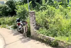 Đất đẹp xã Ninh Sở giá tốt, chốt nhanh còn giảm giá... Bán đất tại Hồng Vân, Hà Nội 08