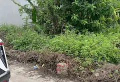Cơ hội vàng sở hữu đất nền tiện nghi tại Hải Phòng không thể bỏ lỡ... Bán đất tại Thiên Hương, Hải Phòng 05
