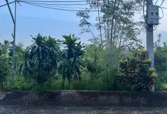 Bán đất diện tích 91,1m2 tại xã gần Khu tổ hợp thể thao PVF, đường ô tô tránh... Bán đất tại Yên Mỹ, Hưng Yên 01
