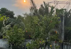 Đất rộng thoáng ô tô tấp nập Trịnh Quang Nghị giá tốt... Bán đất tại Bình Hưng, Hồ Chí Minh 04