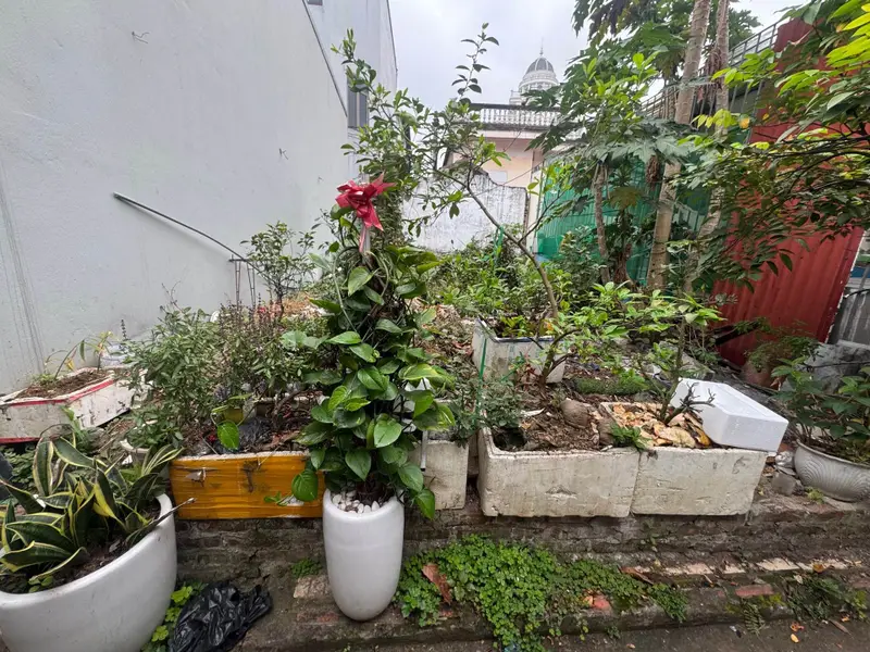 Cơ hội vàng sở hữu đất 50m² giá giảm mạnh tại khu vực tiềm năng... Bán đất tại Thiên Lộc, Hà Nội 01