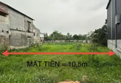Bán đất diện tích lớn tại Dược Hạ, Tiên Dược, Sóc Sơn... Bán đất tại Sóc Sơn, Hà Nội 02