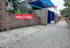 Bán đất thổ cư và đất trồng cây lâu năm tại xã Tiên Dược, Sóc Sơn, ngõ ô tô 5 chỗ... Bán owner_side tại Sóc Sơn, Hà Nội 01