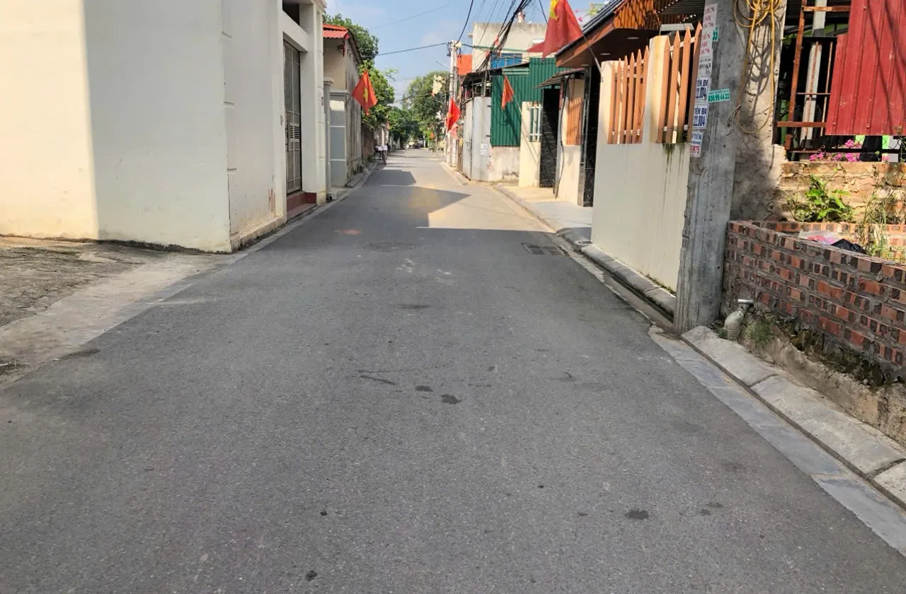 Bán đất 137m2 mặt tiền rộng tại Thôn Vệ, Nam Hồng... Bán đất tại Phúc Thịnh, Hà Nội 01