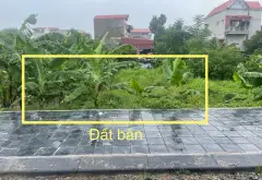 Đất đẹp khu Xích Đằng- Lam Sơn... Bán đất tại Sơn Nam, Hưng Yên 05