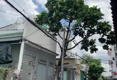 Bán đất mặt tiền rộng 5m tại Phường Trung Mỹ Tây, Quận 12, giá 7,4 tỷ VNĐ... Bán đất tại Trung Mỹ Tây, Hồ Chí Minh 02