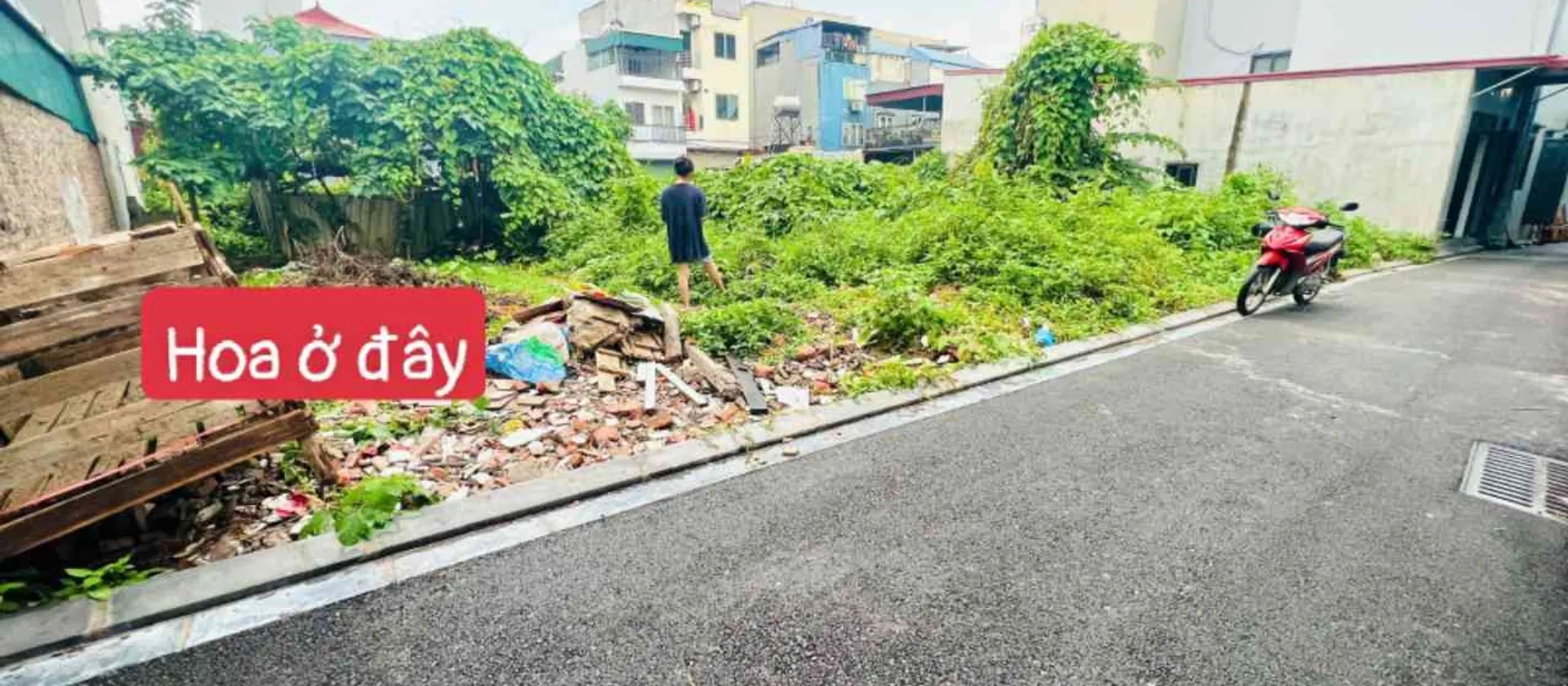 💥💥 LƯƠNG QUY ( XUÂN NỘN) - THƯ LÂM - HÀ NỘI.
👉 Diện tích : gần 70m, full thổ cư, mặt tiền rộng... Bán đất tại Thư Lâm, Hà Nội 01