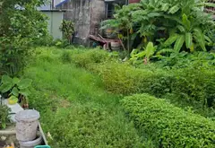 Bán đất TDP8 An Dương, diện tích 59m2, hướng Đông thoáng mát... Bán đất tại An Dương, Hải Phòng 02