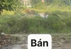 Đất Đấu Giá Tăng Bảo - Sát Vinhomes Ocean Park, Tiện Ích Đầy Đủ... Bán đất tại Như Quỳnh, Hưng Yên 04