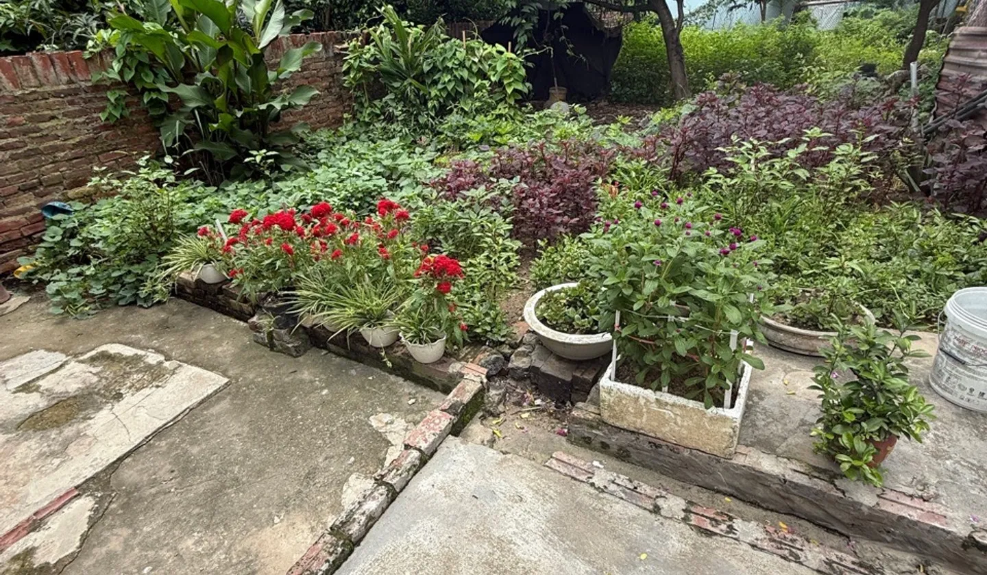 Đất vuông nhỏ xinh Sóc Sơn, sở hữu dễ dàng giá tốt... Bán đất tại Nội Bài, Hà Nội 01