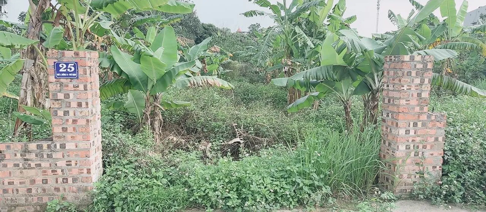 Cơ hội sở hữu đất phân lô ô tô tránh tại Kim Anh, TP Hà Nội giá tốt... Bán đất tại Kim Anh, Hà Nội 01