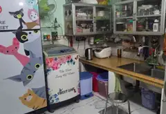 Nhà 2 tầng lô góc Hậu Giang; giá 4,2 tỷ... Bán nhà riêng tại Bình Tây, Hồ Chí Minh 03