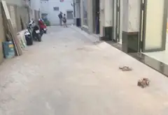 Nhà 5 Tầng Hiện Đại Gần Sân Bay, Ô Tô Đậu Thoải Mái... Bán nhà riêng tại Hạnh Thông, Hồ Chí Minh 05