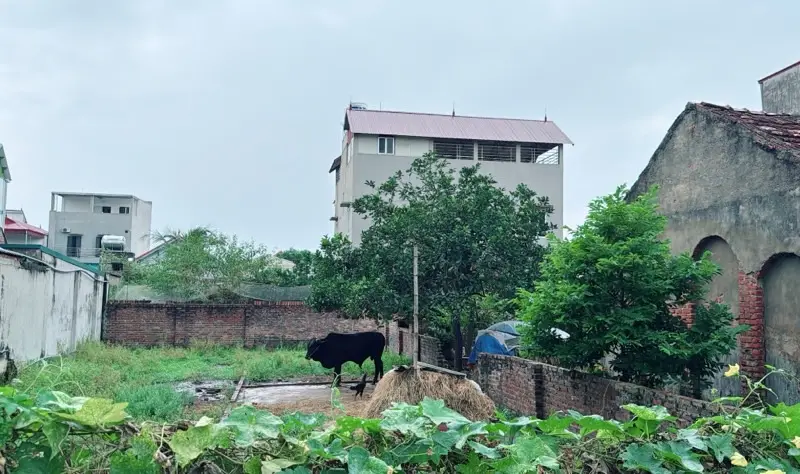Đất siêu đẹp Quảng Hội- Sóc Sơn, giá hợp lý chốt ngay... Bán đất tại Sóc Sơn, Hà Nội 01