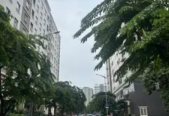 Biệt thự phố 6 tầng sang trọng tại Bình Thạnh, liền kề trung tâm Quận 1... Bán nhà riêng tại Gia Định, Hồ Chí Minh 11