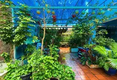 🔥 BIỆT THỰ SÂN VƯỜN KHU VIP NGUYỄN VĂN KHỐI – QUỸ ĐẤT GẦN 300M² – 5 TẦNG – 30 TỶ TL 🔥... Bán nhà riêng tại Thông Tây Hội, Hồ Chí Minh 18