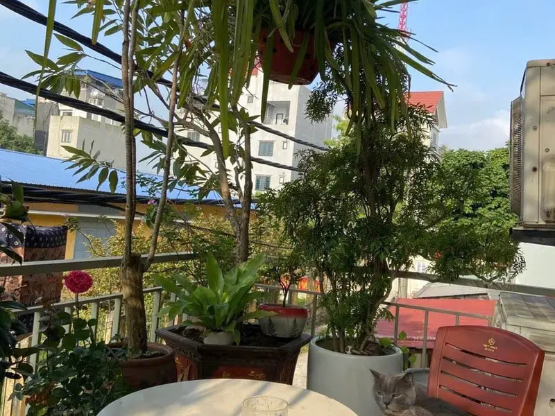 Nhà 4 tầng- TT Long Biên, khu quân đội 918, cạnh sân golf ⛳️ LB, view thoáng, ô tô.... Bán nhà riêng tại Long Biên, Hà Nội 01