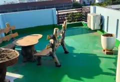 Nhà mặt phố 5 tầng 63.2m² tại Thanh Khê, Đà Nẵng - 10.7 tỷ... Bán nhà mặt phố tại Thanh Khê, Đà Nẵng 01