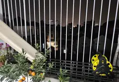 Cơ hội hiếm có sở hữu nhà 4 tầng mới, full nội thất tại An Khánh... Bán nhà riêng tại An Khánh, Hà Nội 15